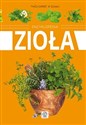 Zioła Encyklopedia 