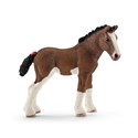 Źrebię rasy Clydesdale SLH13810  