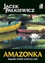 Amazonka Zagadka źródła królowej rzek - Jacek Pałkiewicz