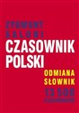 Czasownik polski - odmiana  polish books in canada