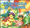 Przygoda w trawie  