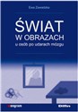 Świat w obrazach u osób po udarach mózgu Polish bookstore