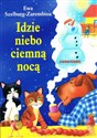 Idzie niebo ciemną nocą Polish bookstore
