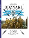 Wielka Księga Kawalerii Polskiej Odznaki Kawalerii Tom 27 6 Pułk Ułanów Bookshop