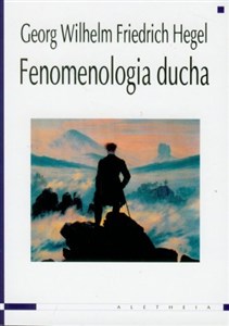 Fenomenologia ducha online polish bookstore