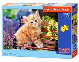 Puzzle Ginger Kitten 180 polish books in canada