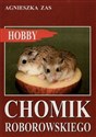 Chomik Roborowskiego - Agnieszka Zas