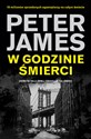 W godzinie śmierci Zemsta najlepiej smakuje na zimno chicago polish bookstore