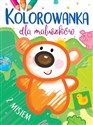 Kolorowanka dla maluszków z misiem  pl online bookstore