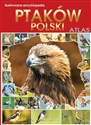 Ilustrowana encyklopedia ptaków Polski Atlas online polish bookstore