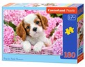 Puzzle Pup in Pink Flowers 180 - 