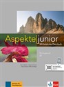 Aspekte junior B2 Ubungsbuch mit Audios zum Download - Opracowanie Zbiorowe