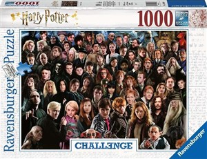 Puzzle 2D 1000 Challenge Harry Potter 14988 in polish