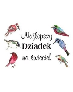 Magnes - Najlepszy Dziadek buy polish books in Usa