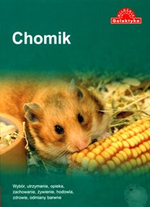 Chomik 