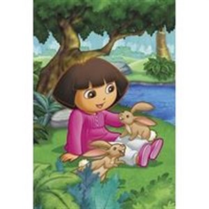 Dora i króliczki  books in polish