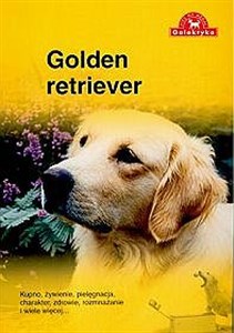 Golden retriever  to buy in USA