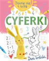 Bawię się i uczę Cyferki books in polish