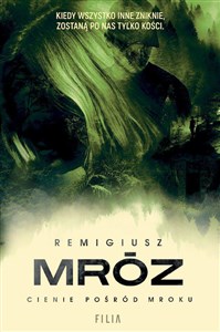 Cienie pośród mroku wyd. kieszonkowe  