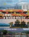 Laowai w wielkim mieście Zapiski z Chin - Aleksandra Świstow Polish Books Canada