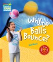 Why Do Balls Bounce? Level 6 Factbook online polish bookstore