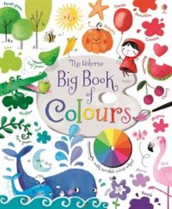 Big Book of Colours Bookshop