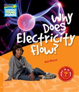 Why Does Electricity Flow? Level 6 Factbook pl online bookstore