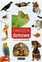 Zwierzęta domowe Praktyczny przewodnik 