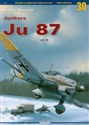 Junkers Ju 87 vol.3 buy polish books in Usa