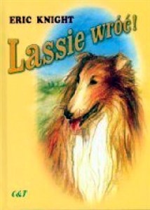 Lassie wróć! chicago polish bookstore