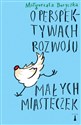 O perspektywach rozwoju małych misteczek - Małgorzata Boryczka