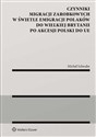 Czynniki migracji zarobkowych w świetle emigracji Polaków do Wielkiej Brytanii po akcesji Polski do UE  