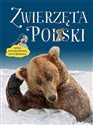 Zwierzęta Polski. Mała encyklopedia ilustrowana  Bookshop