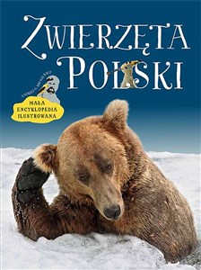 Zwierzęta Polski Mała encyklopedia ilustrowana Bookshop