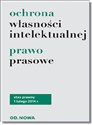 Ochrona własności intelektualnej, prawo prasowe polish usa