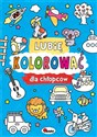 Lubię kolorować dla chłopców polish books in canada