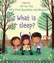 Lift-the-flap Very First Questions and Answers What is sleep? - Katie Daynes to buy in Canada