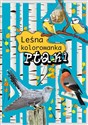 Ptaki Leśna kolorowanka Polish Books Canada