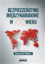 Bezpieczeństwo międzynarodowe w XXI wieku bookstore