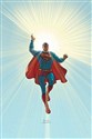 Absolute All Star Superman buy polish books in Usa