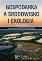 Gospodarka a środowisko i ekologia 