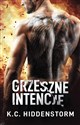 Grzeszne intencje - K.C. Hiddenstorm