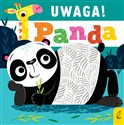 Uwaga panda! - Opracowanie Zbiorowe