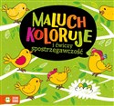 Maluch koloruje i ćwiczy spostrzegawczość - Opracowanie Zbiorowe