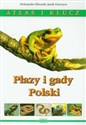 Płazy i gady Polski Atlas i klucz Polish Books Canada