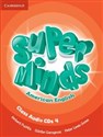 Super Minds American English 4 Class Audio CD  