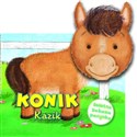 Konik Kazik z pacynką Świetna zabawa pacynką online polish bookstore