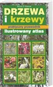 Drzewa i krzewy Praktyczny przewodnik.Ilustrowany atlas Bookshop