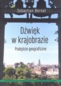 Dźwięk w krajobrazie Podejście geograficzne buy polish books in Usa