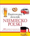 Ilustrowany słownik niemiecko-polski books in polish